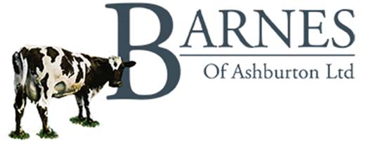 Barnes Logo